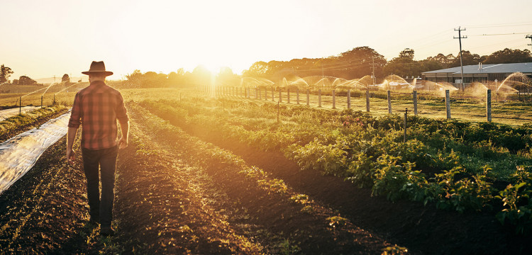 Agricole